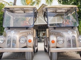 buggy2